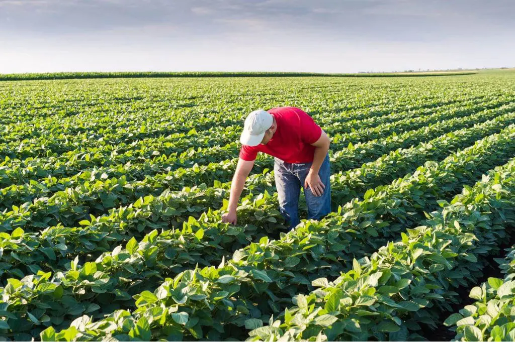 Profesionales recorriendo una zona de producción agrícola